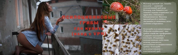 mdpv Аркадак
