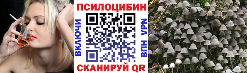 Купить где  Саратов  Псилоцибиновые грибы GOLDEN TEACHER 