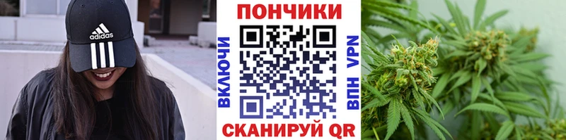 Бошки марихуана ГИДРОПОН  Купить закладки  Саратов 